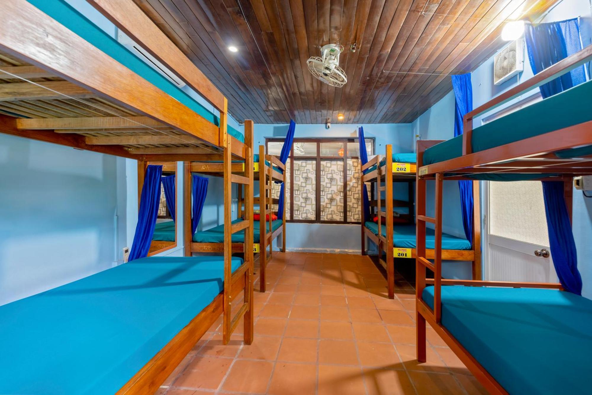 Serendipity Experience Hoi An Old Town المظهر الخارجي الصورة